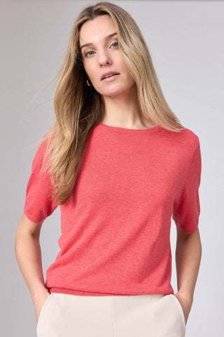 Feline Top Korte Mouw
