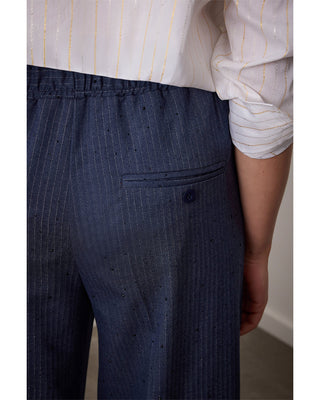 Nola pants shiney gessato Stone